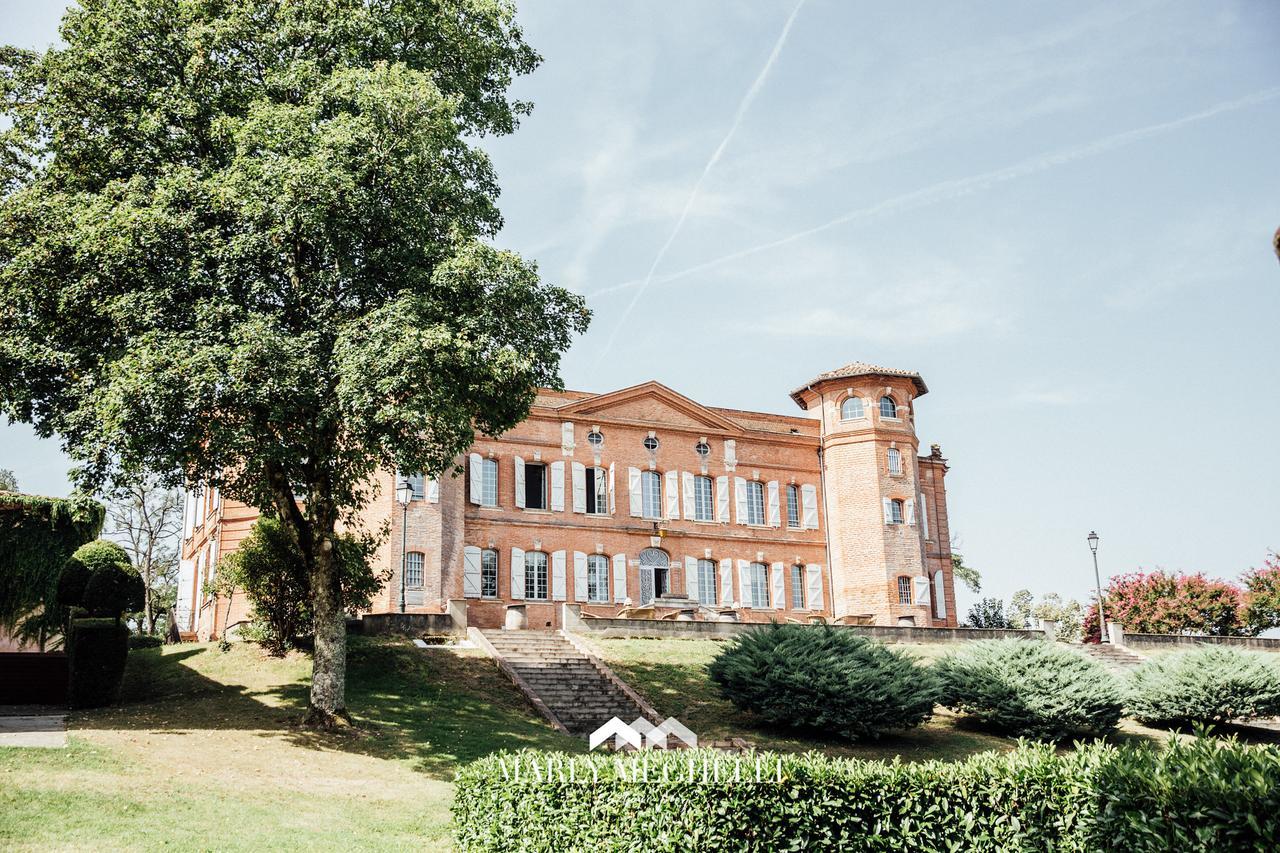 Chateau De Loubejac Montauban Zewnętrze zdjęcie